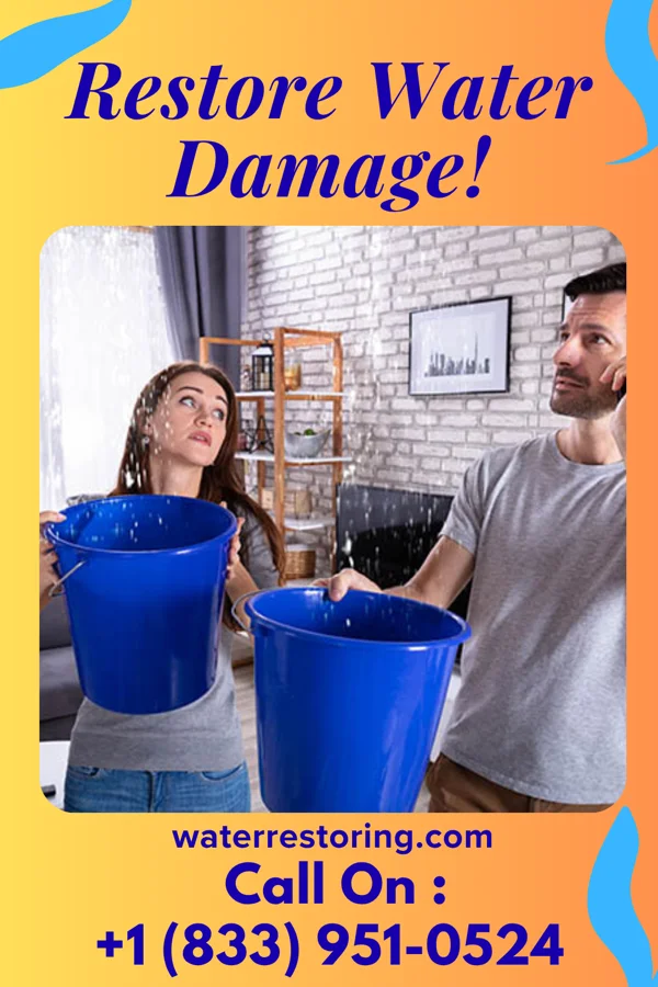 water restoration Master Flood Recovery Co Hinsdale