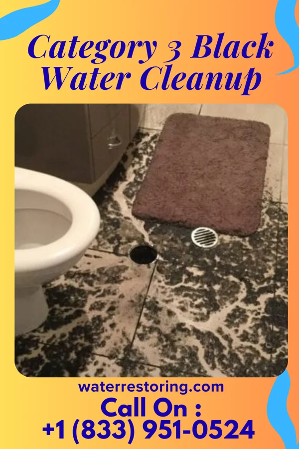 Category 3 Black Water Cleanup in Hinsdale, IL