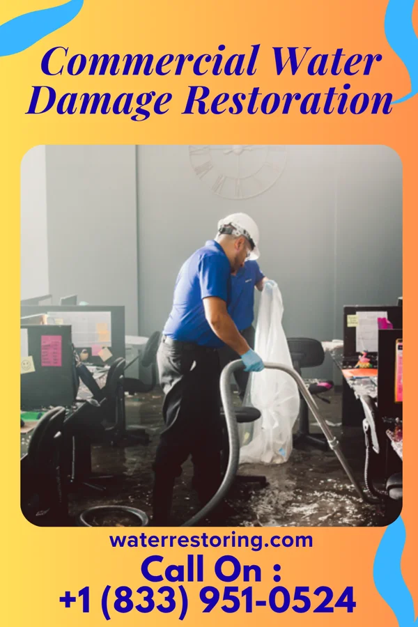 Commercial Water Damage Restoration in Hinsdale, IL