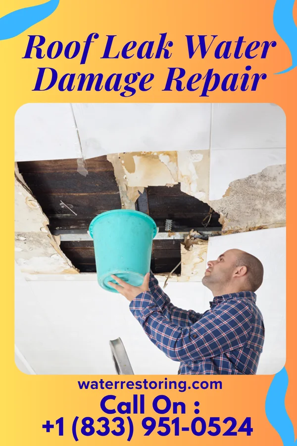 Roof Leak Water Damage Repair in Hinsdale, IL