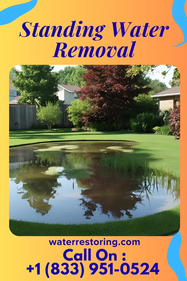 Standing Water Removal in Hinsdale, IL